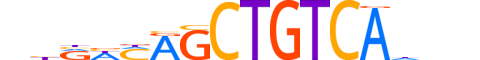 TF2LX.H12INVIVO.1.SM.D reverse-complement motif logo (TGIF2LX gene, TF2LX_HUMAN protein)