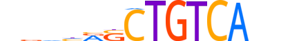 TF2LY.H12INVIVO.0.SM.D reverse-complement motif logo (TGIF2LY gene, TF2LY_HUMAN protein)