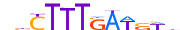 TF7L1.H12INVIVO.0.PM.A motif logo (TCF7L1 gene, TF7L1_HUMAN protein)