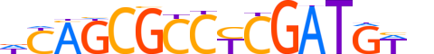 TF7L1.H12INVIVO.2.S.C motif logo (TCF7L1 gene, TF7L1_HUMAN protein)