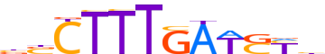 TF7L2.H12INVIVO.0.P.B motif logo (TCF7L2 gene, TF7L2_HUMAN protein)
