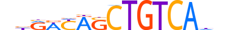 TGIF2.H12INVIVO.0.S.B reverse-complement motif logo (TGIF2 gene, TGIF2_HUMAN protein)