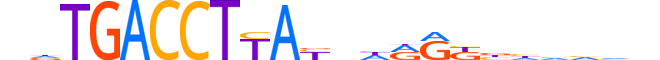 THB.H12INVIVO.3.S.C reverse-complement motif logo (THRB gene, THB_HUMAN protein)