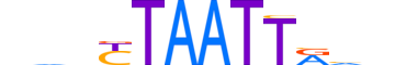 UNC4.H12INVIVO.1.S.D reverse-complement motif logo (UNCX gene, UNC4_HUMAN protein)