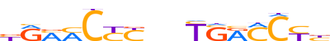 VDR.H12INVIVO.0.PS.A reverse-complement motif logo (VDR gene, VDR_HUMAN protein)