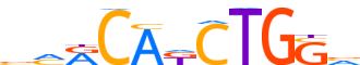 ZBT18.H12INVIVO.0.PSM.A reverse-complement motif logo (ZBTB18 gene, ZBT18_HUMAN protein)