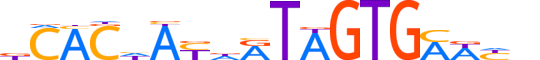 ZBT22.H12INVIVO.0.SM.D reverse-complement motif logo (ZBTB22 gene, ZBT22_HUMAN protein)