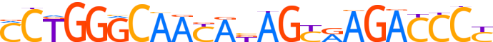 ZN121.H12INVIVO.0.P.B motif logo (ZNF121 gene, ZN121_HUMAN protein)