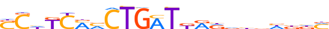 ZN134.H12INVIVO.1.P.C reverse-complement motif logo (ZNF134 gene, ZN134_HUMAN protein)