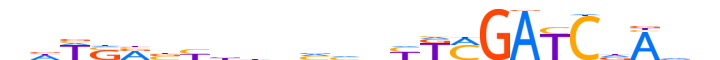 ZN177.H12INVIVO.0.SM.D motif logo (ZNF177 gene, ZN177_HUMAN protein)