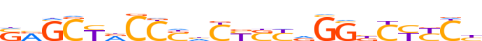 ZN273.H12INVIVO.0.P.C motif logo (ZNF273 gene, ZN273_HUMAN protein)