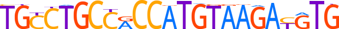 ZN430.H12INVIVO.0.P.C reverse-complement motif logo (ZNF430 gene, ZN430_HUMAN protein)