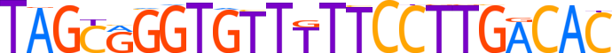 ZN443.H12INVIVO.0.P.C motif logo (ZNF443 gene, ZN443_HUMAN protein)