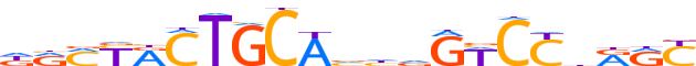 ZN502.H12INVIVO.0.P.C reverse-complement motif logo (ZNF502 gene, ZN502_HUMAN protein)