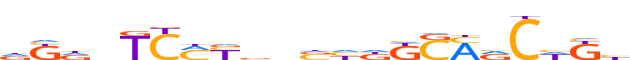 ZN563.H12INVIVO.0.P.C motif logo (ZNF563 gene, ZN563_HUMAN protein)