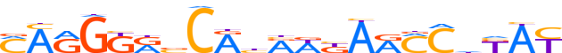 ZN626.H12INVIVO.0.P.C reverse-complement motif logo (ZNF626 gene, ZN626_HUMAN protein)