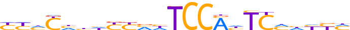 ZN671.H12INVIVO.0.P.C reverse-complement motif logo (ZNF671 gene, ZN671_HUMAN protein)