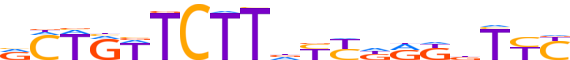 ZN677.H12INVIVO.0.P.C motif logo (ZNF677 gene, ZN677_HUMAN protein)