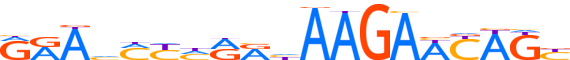 ZN677.H12INVIVO.0.P.C reverse-complement motif logo (ZNF677 gene, ZN677_HUMAN protein)