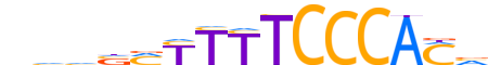 ZN75A.H12INVIVO.0.SM.D reverse-complement motif logo (ZNF75A gene, ZN75A_HUMAN protein)