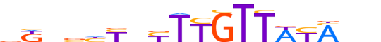 ZNF12.H12INVIVO.2.S.C reverse-complement motif logo (ZNF12 gene, ZNF12_HUMAN protein)