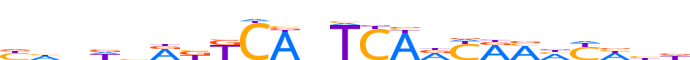 ZNF3.H12INVIVO.0.P.B reverse-complement motif logo (ZNF3 gene, ZNF3_HUMAN protein)