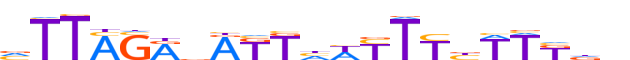 ZNF79.H12INVIVO.0.P.C reverse-complement motif logo (ZNF79 gene, ZNF79_HUMAN protein)