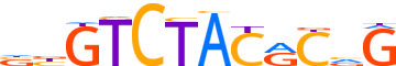 ZSC29.H12INVIVO.0.P.B motif logo (ZSCAN29 gene, ZSC29_HUMAN protein)