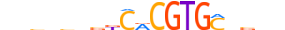 BHE41.H12INVIVO.0.PSM.A motif logo (BHLHE41 gene, BHE41_HUMAN protein)