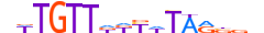 FOXE1.H12INVIVO.0.SM.D motif logo (FOXE1 gene, FOXE1_HUMAN protein)