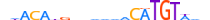 IRX3.H12INVIVO.2.S.D motif logo (IRX3 gene, IRX3_HUMAN protein)