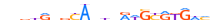 PAX8.H12INVIVO.0.PSM.A motif logo (PAX8 gene, PAX8_HUMAN protein)
