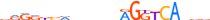 RXRA.H12INVIVO.3.P.B motif logo (RXRA gene, RXRA_HUMAN protein)