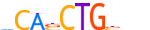 TFE2.H12INVIVO.0.PS.A motif logo (TCF3 gene, TFE2_HUMAN protein)