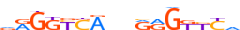 VDR.H12INVIVO.0.PS.A motif logo (VDR gene, VDR_HUMAN protein)