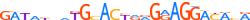ZN875.H12INVIVO.0.P.C motif logo (ZNF875 gene, ZN875_HUMAN protein)