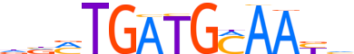ATF4.H12RSNP.0.P.B motif logo (ATF4 gene, ATF4_HUMAN protein)