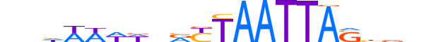 ESX1.H12RSNP.1.S.B motif logo (ESX1 gene, ESX1_HUMAN protein)