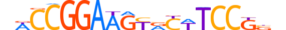ETS2.H12RSNP.0.S.C motif logo (ETS2 gene, ETS2_HUMAN protein)