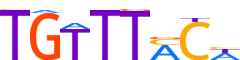 FOXP1.H12RSNP.0.PS.A motif logo (FOXP1 gene, FOXP1_HUMAN protein)