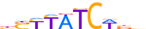 GATA1.H12RSNP.1.PSM.A reverse-complement motif logo (GATA1 gene, GATA1_HUMAN protein)