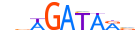 GATA6.H12RSNP.0.PSM.A motif logo (GATA6 gene, GATA6_HUMAN protein)