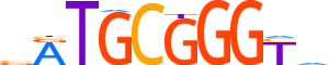 GCM1.H12RSNP.0.S.B reverse-complement motif logo (GCM1 gene, GCM1_HUMAN protein)