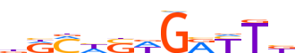 GFI1.H12RSNP.0.PSM.A motif logo (GFI1 gene, GFI1_HUMAN protein)