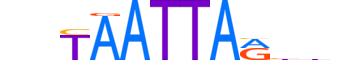 MIXL1.H12RSNP.1.S.B motif logo (MIXL1 gene, MIXL1_HUMAN protein)