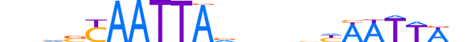 MSX1.H12RSNP.1.S.C motif logo (MSX1 gene, MSX1_HUMAN protein)