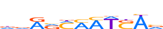NANOG.H12RSNP.1.P.B reverse-complement motif logo (NANOG gene, NANOG_HUMAN protein)