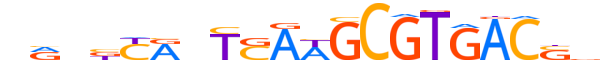 PAX8.H12RSNP.0.PSM.A motif logo (PAX8 gene, PAX8_HUMAN protein)