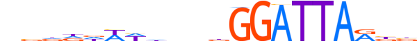 PITX3.H12RSNP.1.S.B motif logo (PITX3 gene, PITX3_HUMAN protein)