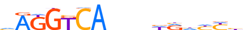 RARA.H12RSNP.2.P.B motif logo (RARA gene, RARA_HUMAN protein)